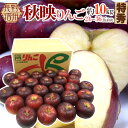 長野産 まっ黒リンゴ ”秋映 あきばえ” 特秀品 24~36玉前後 約10kg【予約 10月以降】 送料無料