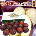 まっ黒リンゴ ”長野産 秋映 あきばえ” 特秀品 12~18玉前後 約5kg 化粧箱【予約 10月以降】 送料無料