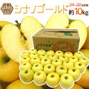 長野県 ”シナノゴールド” 秀品 24~32玉前後 約10kg りんご【予約 11月以降】 送料無料