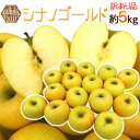 ”長野県 シナノゴールド” 訳あり 約5kg 大きさおまかせ りんご【予約 11月以降】 送料無料