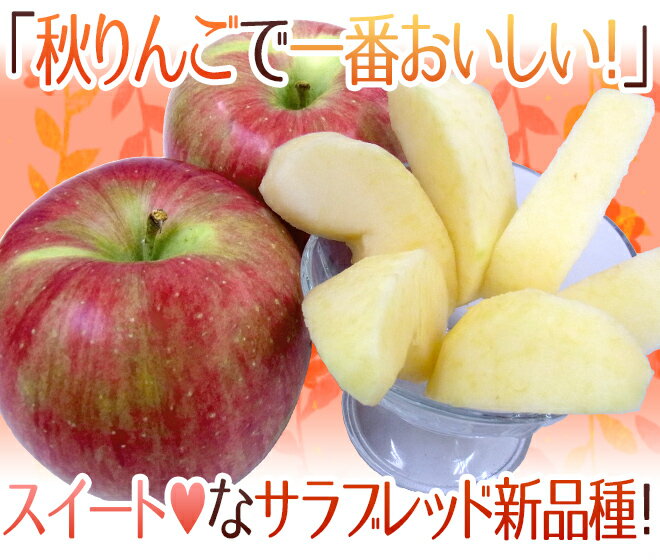 長野産 ”シナノスイート” 訳あり 24〜36玉 約10kg りんご【予約 10月中下旬以降】 送料無料