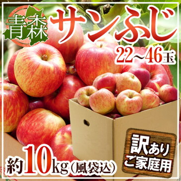 【送料無料】青森県産 ”サンふじりんご 訳あり 約10kg(風袋込)”【予約 1月中旬〜3月下旬】【東根直送】