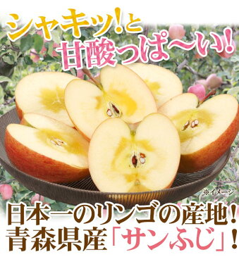 【送料無料】青森県産 ”サンふじりんご 訳あり 約10kg(風袋込)”【予約 1月中旬〜3月下旬】【東根直送】