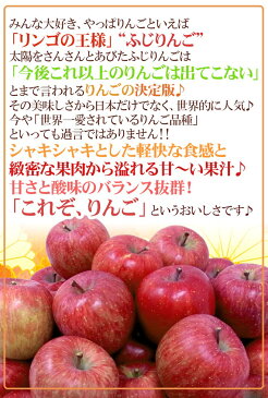 【送料無料】青森県産 ”サンふじりんご 訳あり 約10kg(風袋込)”【予約 1月中旬〜3月下旬】【東根直送】