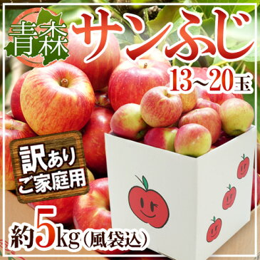 【送料無料】青森県産 ”サンふじりんご 訳あり 約5kg(風袋込)”【予約 1月中旬〜3月下旬】【東根直送】