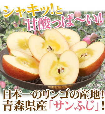 【送料無料】青森県産 ”サンふじりんご 訳あり 約5kg(風袋込)”【予約 1月中旬〜3月下旬】【東根直送】