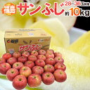 福島産 ”蜜入りサンふじりんご” ○秀品 28〜36玉前後 約10kg【予約 11月下旬以降】 送料無料