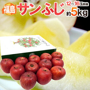 福島産 ”蜜入りサンふじ” 秀品 大玉12〜16玉 約5kg 化粧箱【予約 11月下旬以降】 送料無料