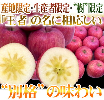 【送料無料】長野・志賀高原平穏地区産 ”チャンピオンふじ” 秀品 大玉12〜16玉 約5kg 化粧箱【予約 12月以降】