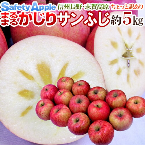 長野産 ”まるまるかじりサンふじ” ちょっと訳あり 大玉12〜18玉 約5kg【予約 11月末以降】 送料無料のサムネイル