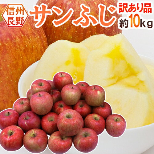 長野産 ”蜜入りサンふじ” 約10kg 訳あり 大きさおまかせ【予約 11月下旬以降】 送料無料
