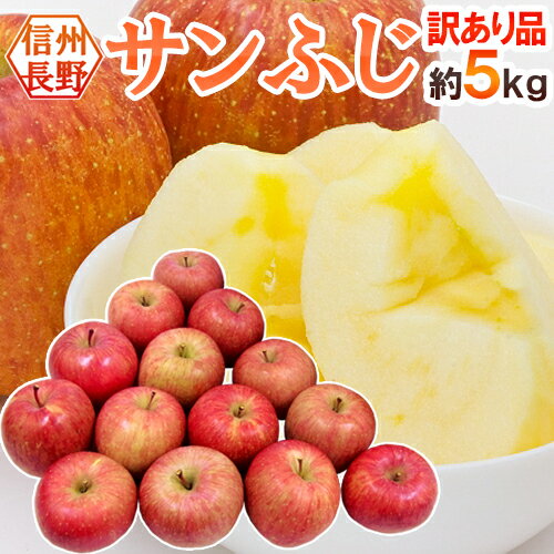 長野産 ”蜜入りサンふじ” 約5kg 訳あり 大きさおまかせ【予約 11月下旬以降】 送料無料のサムネイル