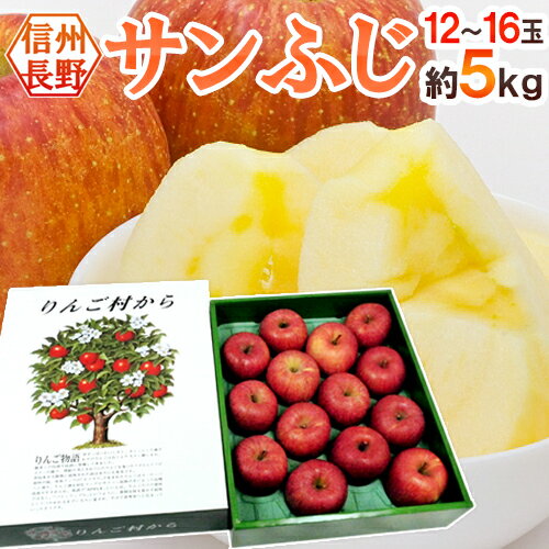 ”長野産 蜜入りサンふじ” 秀品 大玉12〜16玉 約5kg 化粧箱【予約 11月下旬以降】 送料無料