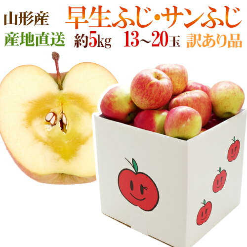 山形県産 ”サンふじりんご 訳あり 約5kg（風袋込）”【予約 11月〜1月上旬】【産地直送】 送料無料のサムネイル