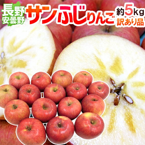 ”長野県 安曇野産 サンふじりんご” 訳あり 約5kg 大きさおまかせ【予約 11月下旬以降】 送料無料