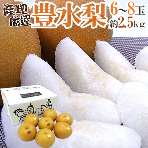 ”豊水梨” 秀品 2L〜4L 6〜8玉 約2.5kg 産地厳選【予約 8月中下旬以降】 送料無料