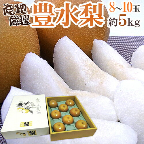 ”豊水梨” 秀品 超大玉5L〜6L 8〜10玉 約5kg 化粧箱 産地厳選【予約 8月中下旬以降】 送料無料