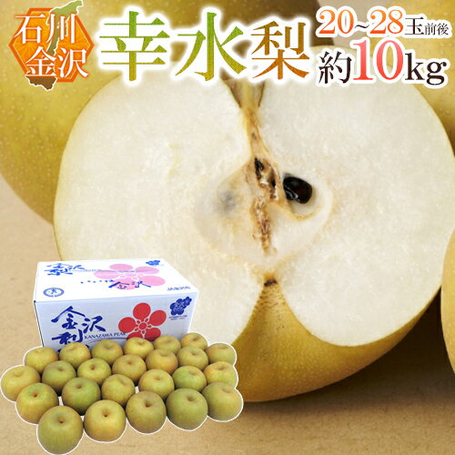 石川県 金沢産 ”幸水梨” 秀品 20〜28玉前後 約10kg【予約 8月末以降】 送料無料