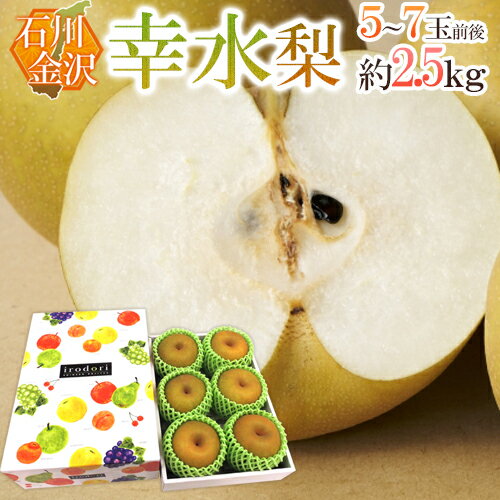 ”石川県 金沢産 幸水梨” 秀品 5〜7玉前後 約2.5kg【予約 8月末以降】 送料無料のサムネイル