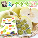 ”夏の幸水梨” 秀品 大玉6〜8玉 約2.5kg 化粧箱 産地厳選【予約 7月以降】 送料無料