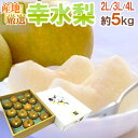”幸水梨” 秀品 大玉2L〜4L 12〜16玉 約5kg 産地厳選【予約 8月以降】 送料無料