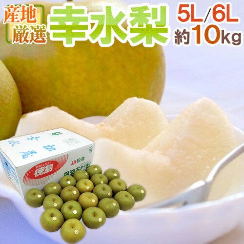 ”幸水梨” 秀品 超大玉5L〜6L 16〜20玉 約10kg 産地厳選【予約 8月以降】 送料無料