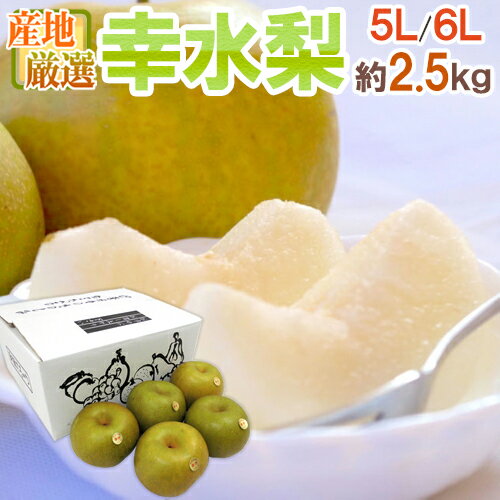 ”幸水梨” 秀品 超大玉5L〜6L 4〜5玉 約2.5kg 産地厳選【予約 8月以降】 送料無料のサムネイル