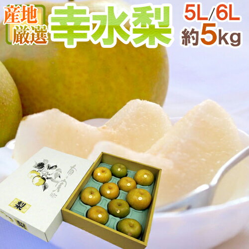 ”幸水梨” 秀品 超大玉5L〜6L 8〜10玉 約5kg 産地厳選【予約 8月以降】 送料無料のサムネイル