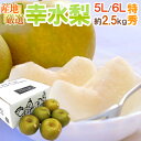 ”幸水梨” 特秀品 超大玉5L〜6L 4〜5玉 約2.5kg 産地厳選 糖度12度以上【予約 8月以降】 送料無料