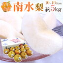 石川県 金沢産 ”南水梨” 秀品 10〜16玉前後 約5kg【予約 9月以降】 送料無料