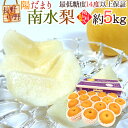 長野産 ”陽だまり南水梨” 12~16玉前後 約5kg 特秀品(陽だまり等級)【予約 9月下旬~10月】 送料無料