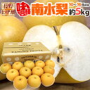 長野県 JA上伊那 ”味合格 南水梨” 10〜16玉前後 約5kg 特秀品(味合格等級)【予約 9月下旬〜10月】 送料無料