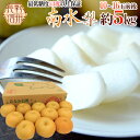【8/10限定!全額ポイントバックの大チャンス】長野産 ”南水梨” 秀品 大玉10〜16玉前後 約5kg【予約 9月下旬以降】 送料無料