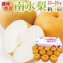 ”南水梨” 秀品 10〜18玉 約5kg 産地厳選【予約 8月末以降】 送料無料