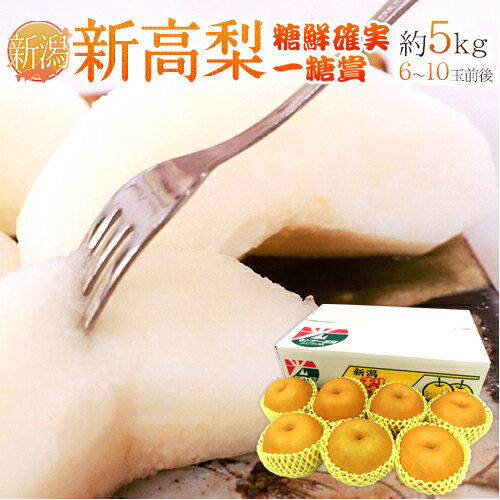 新潟県 ”新高梨” 一糖賞もしくは糖鮮確実（特秀品） 大玉6〜10玉前後 約5kg【予約 10月以降】 送料無料のサムネイル