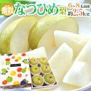 ”鳥取産 なつひめ梨” 秀品 大玉6〜8玉前後 約2.5kg【予約 8月末以降】 送料無料