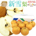 鳥取県 ”新雪梨” 訳あり 風袋込約7〜8kg 大きさおまかせ【予約 12月中旬以降】 送料無料