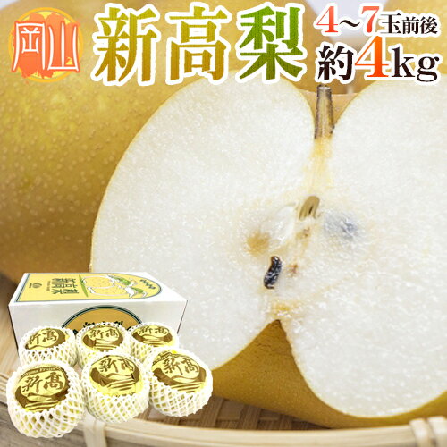 岡山産 ”新高梨” 秀品 4〜7玉前後 約4kg 化粧箱【予約 10月下旬以降】 送料無料のサムネイル