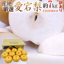 ”愛宕梨” 訳あり 約7kg 大きさおまかせ 産地厳選 あたご梨【予約 11月末以降】 送料無料