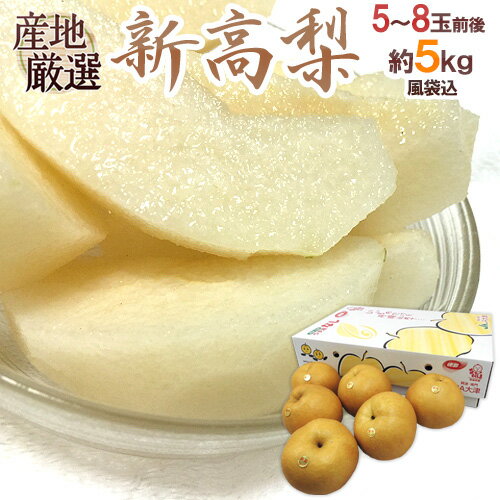 ”新高梨” 秀品 超大玉 風袋込5〜8玉前後 約5kg 化粧箱 産地厳選【予約 10月以降】 送料無料のサムネイル
