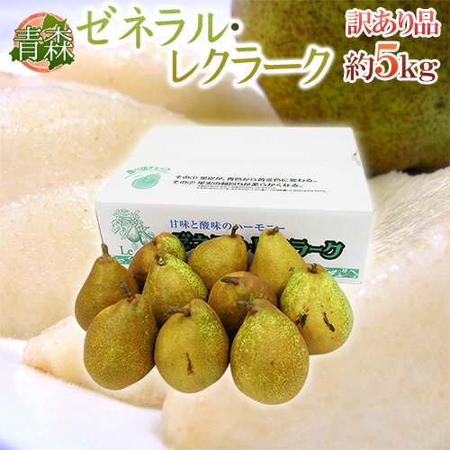 青森産 ”ゼネラル・レクラーク” 訳あり 約5kg 大きさおまかせ 洋梨【予約 入荷次第発送】 送料無料
