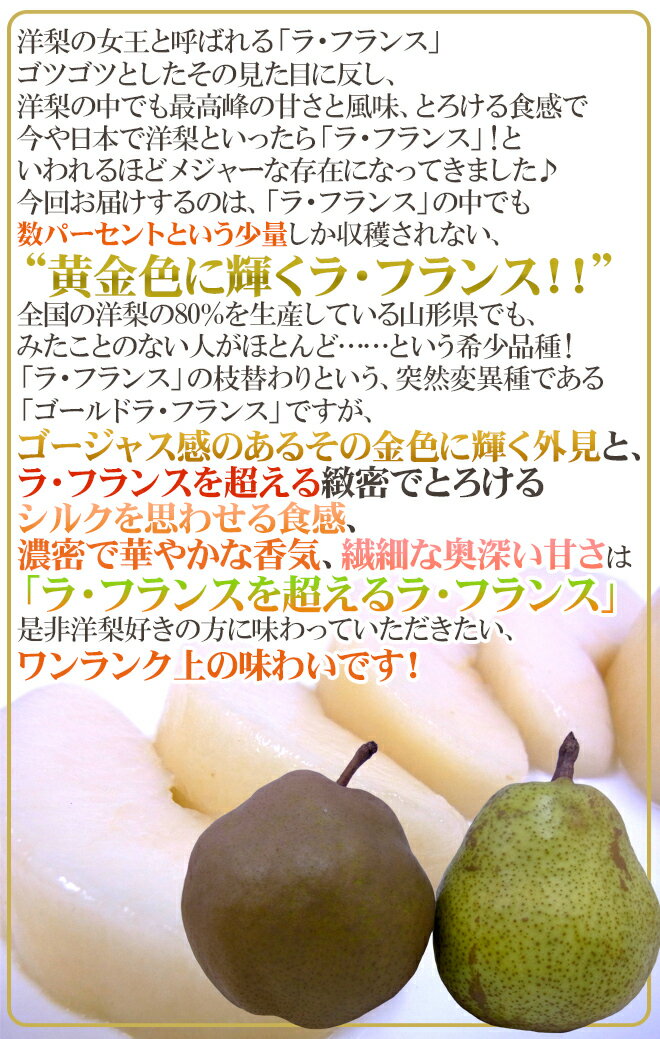 【送料無料】山形産 ”ゴールドラフランス” 秀品 5〜9玉前後 約2.5kg 化粧箱【予約 11月下旬〜12月】