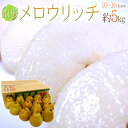 山形産 ”メロウリッチ” 秀品 10〜16玉前後 約5kg 洋梨【予約 10月以降】 送料無料