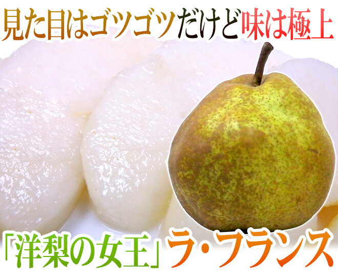 【送料無料】山形産 ”ラフランス” 訳あり 約3kg 大きさおまかせ ラ・フランス 洋梨【予約 11月以降】