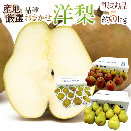 ”洋梨” 訳あり 約5kg 品種おまかせ 大きさおまかせ 産地厳選 ラ・フランス、コミス、ル・レクチェなど【予約 10月中旬以降】 送料無料