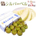 【送料無料】”シルバーベル” 秀品 8〜12玉前後 約5kg...