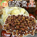 【9/5限定!全額ポイントバックの大チャンス】”愛媛県 JAたいき 銀寄栗” 秀品 2L 約3kg【予約 10月以降】 送料無料