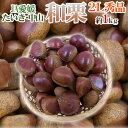 ”愛媛県 JAたいき・中山 和栗” 秀品 大粒2L 約1kg【予約 9月下旬以降】 送料無料