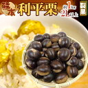 【8/25限定!全額ポイントバックの大チャンス】”利平栗” 大粒2L以上 約1kg 裂果 熊本産・愛媛産など 訳あり【予約 9月末以降】
