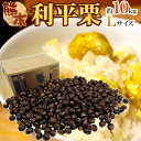 【9/5限定!全額ポイントバックの大チャンス】”利平栗” 秀品 L 約10kg 熊本産・愛媛産など【予約 9月下旬以降】 送料無料